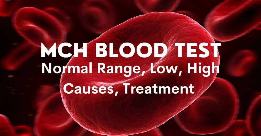 mch blood test high